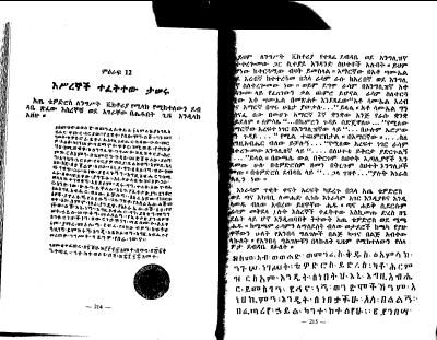 አጤ ቴዎድሮስ በጳውሎስ ኞኞ (3).pdf